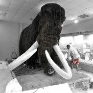 Bulgaria,mammoth in Ruse